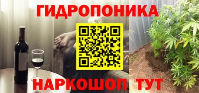 гашик Славгород