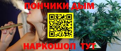 гашик Славгород