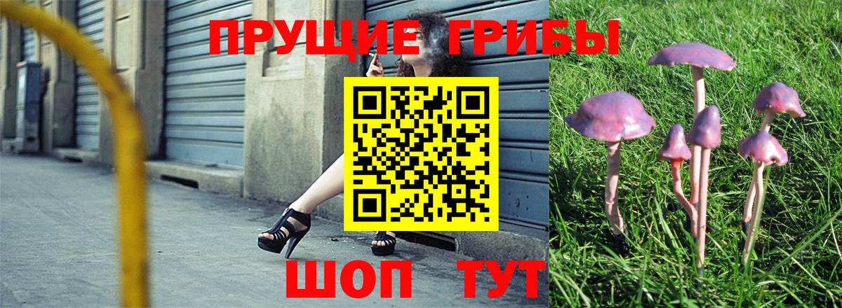 Псилоцибиновые грибы ЛСД  Вход с VPN  Светлоград 