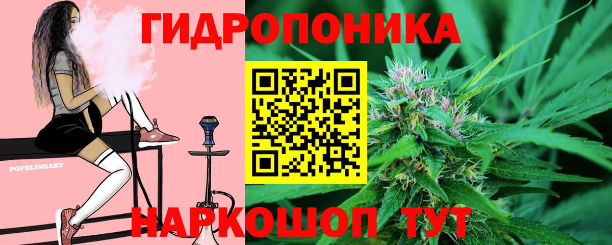 Конопля ГИДРОПОН  Бошки Шишки VHQ  Светлоград  Вход с VPN  Шишки марихуана сатива 